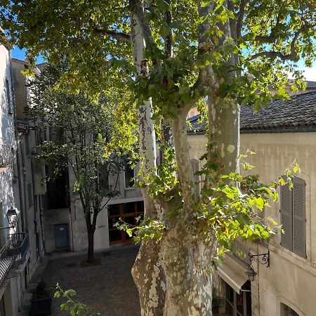 La Charmante Du Palais 2 Chambres Αβινιόν Εξωτερικό φωτογραφία